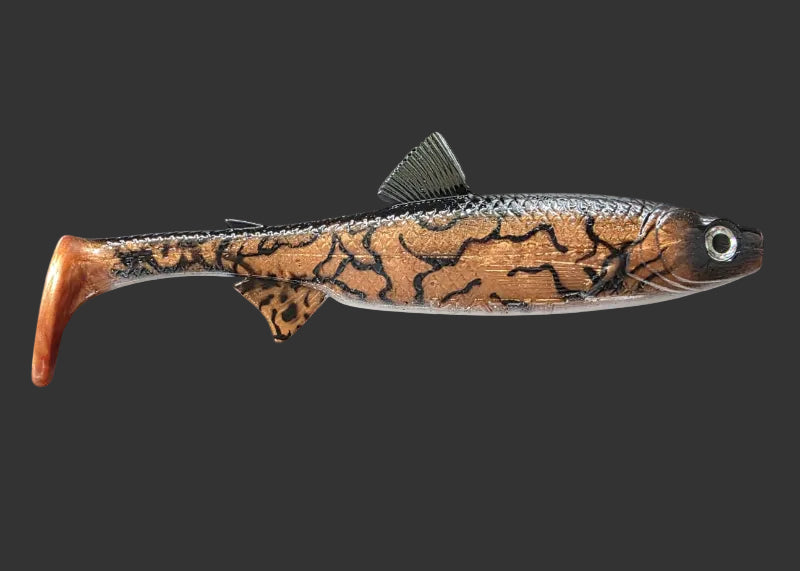 The Seeker 18cm "Copper Burbot"