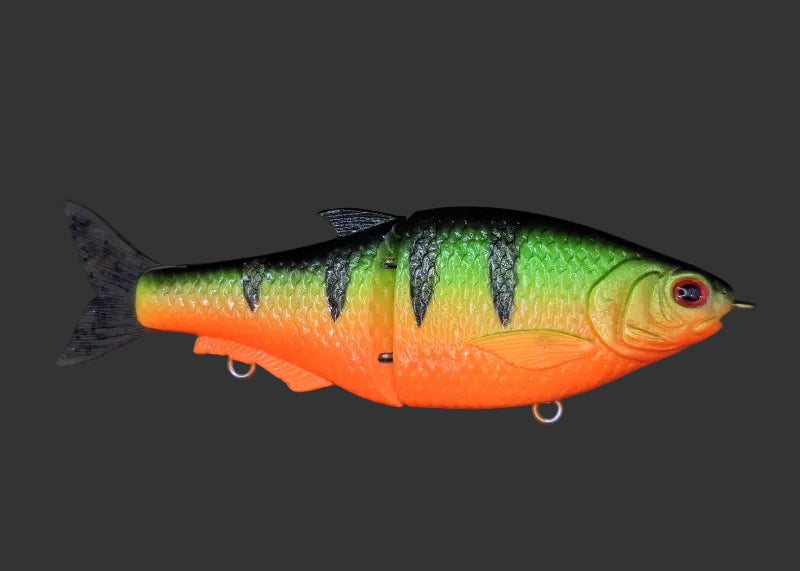 Split Roach 16cm "Firetajger"