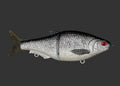 Split Roach 16cm "Glitter Roach"