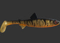 The Seeker 25cm "Golden Tiger"