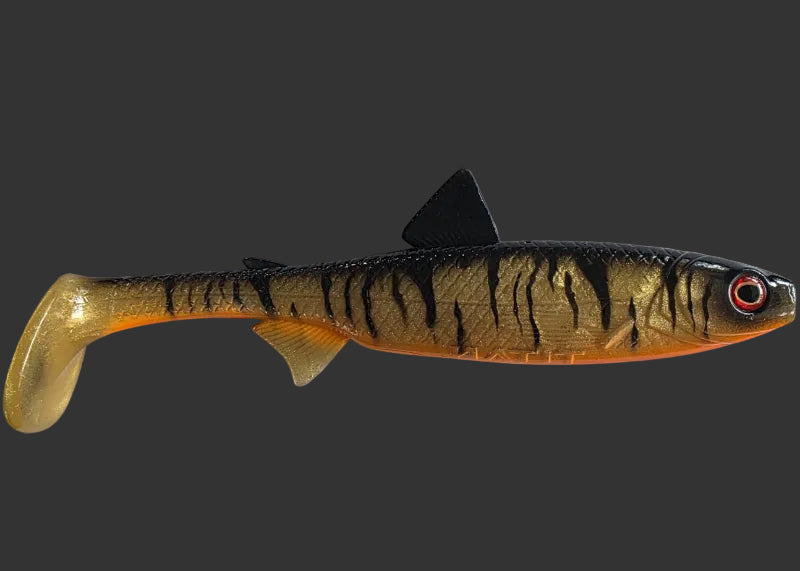 The Seeker 25cm "Golden Tiger"