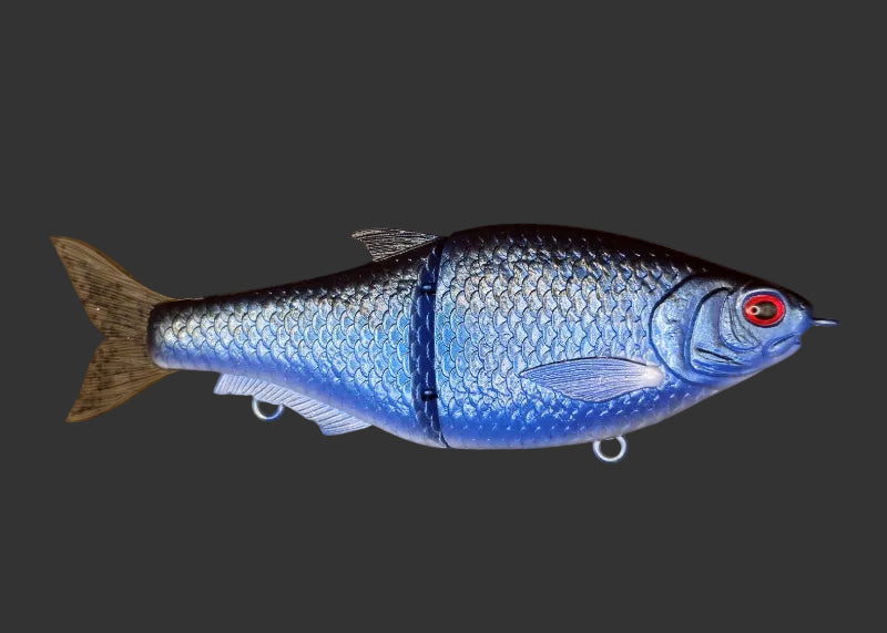 Split Roach 16cm "Mr Blue"