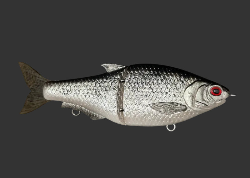 Split Roach 16cm "Roachisch Again"