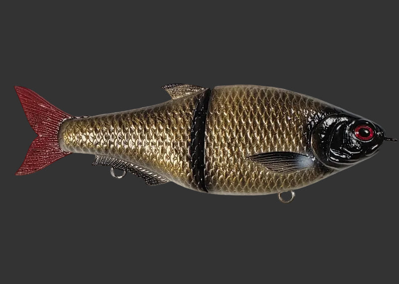 Split Roach 16cm "Rudd"