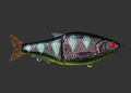 Split Roach 16cm "Toxic Belly"