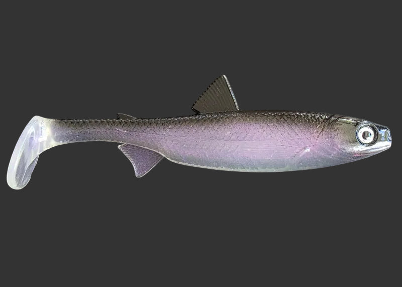 The Seeker 22cm "Baitfish"