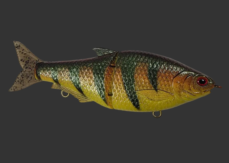 Split Roach 16cm "Yellow Perch"