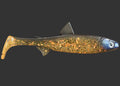 The Seeker 18cm "Glitterorange"
