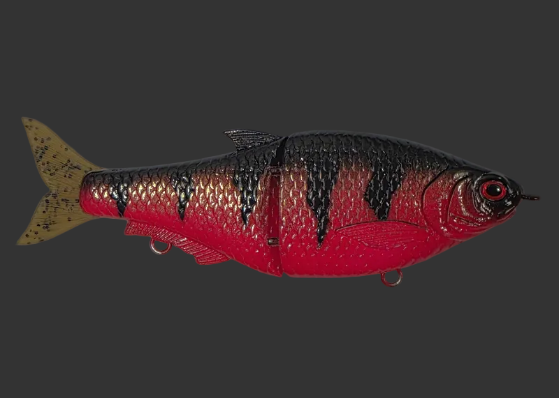 Split Roach 16cm "Red Perch"